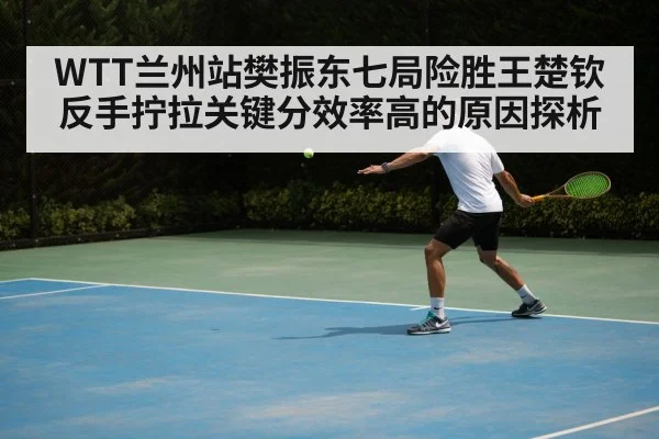 WTT兰州站樊振东七局险胜王楚钦 反手拧拉关键分效率高的原因探析